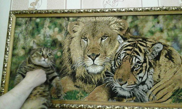 Morning Picdump