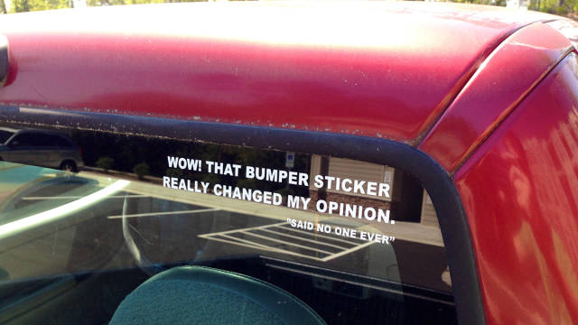 Morning Picdump
