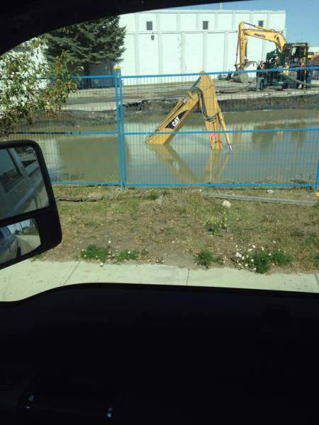Morning Picdump