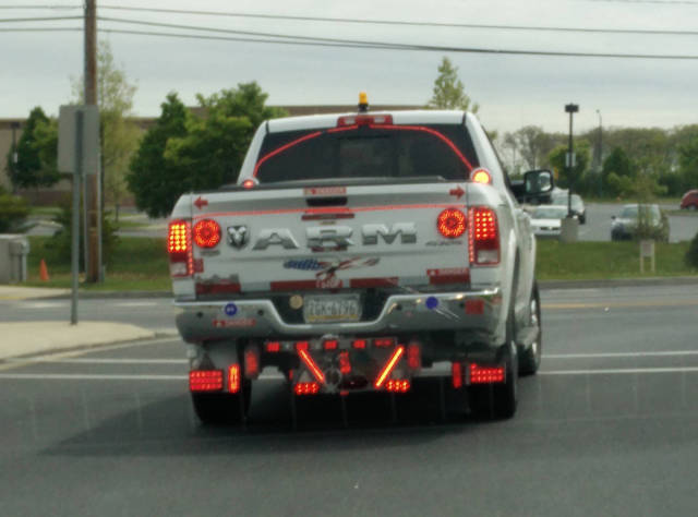 Morning Picdump