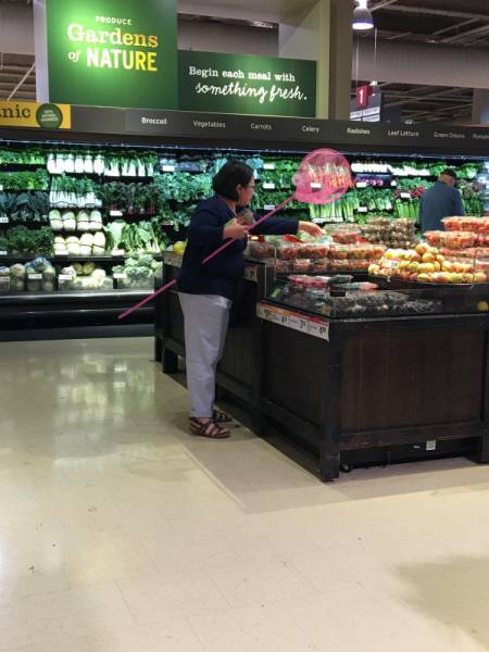 Morning Picdump