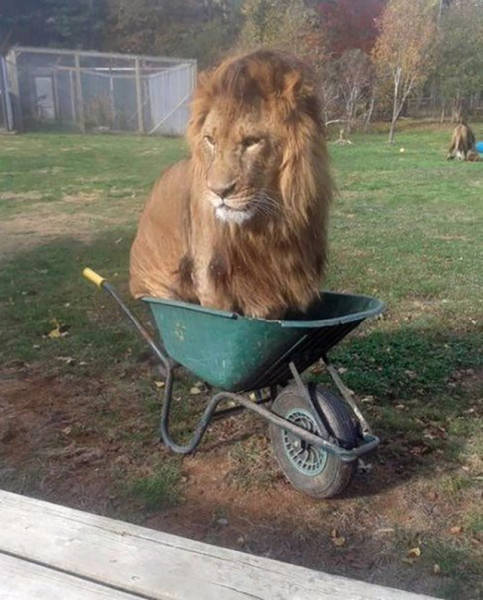 Fascinating Photos That Speak For Themselves