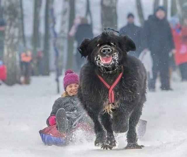 Fascinating Photos That Speak For Themselves