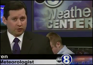 Compilation Of The Best Live News Bloopers In Gifs