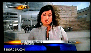 Compilation Of The Best Live News Bloopers In Gifs