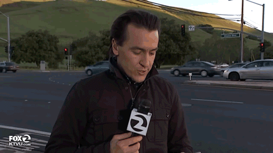 Compilation Of The Best Live News Bloopers In Gifs