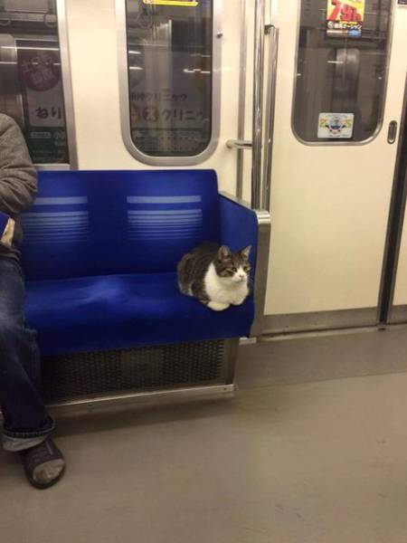 Morning Picdump