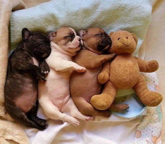 Morning Picdump