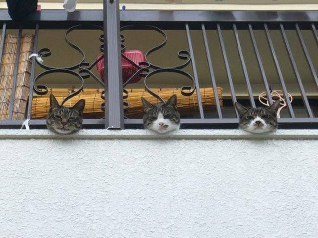 Morning Picdump