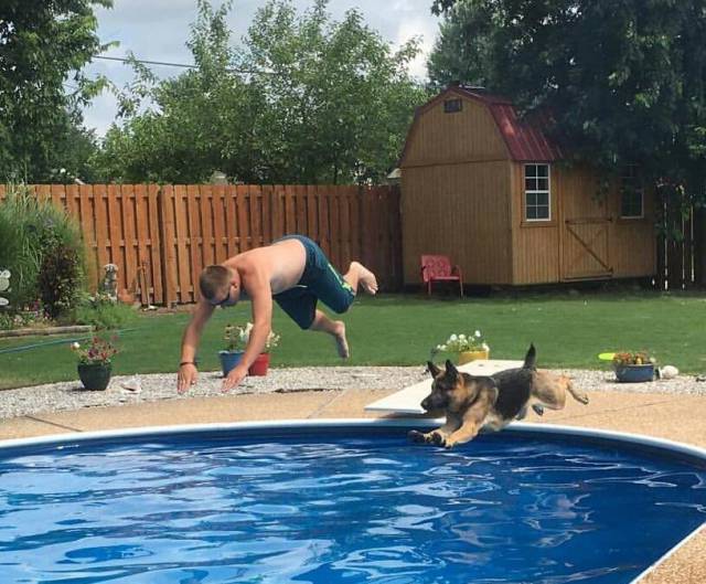 Morning Picdump