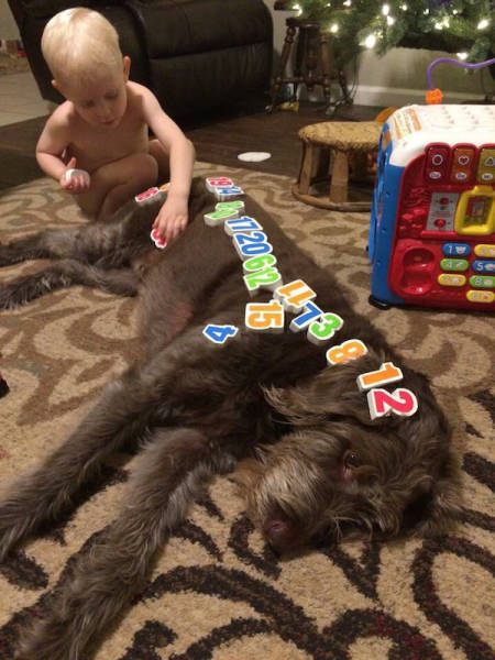 Oh Those Crazy Kids