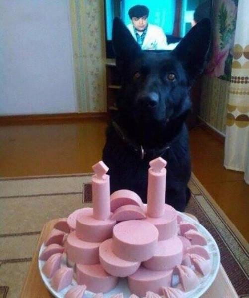 Morning Picdump