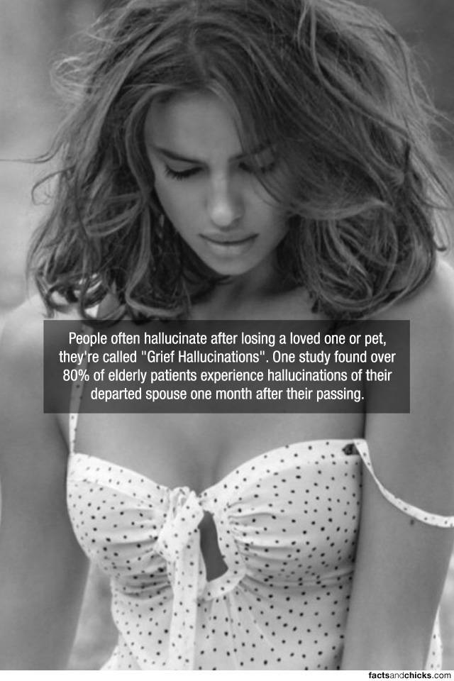 Facts are Best Served with Hot Chicks