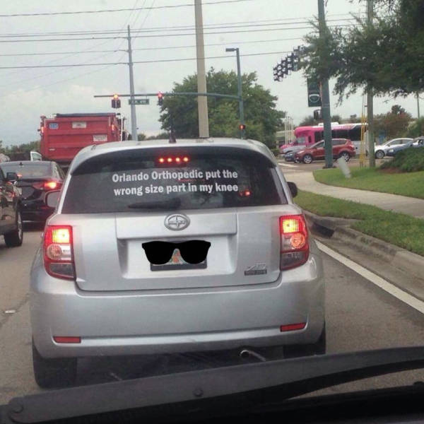 Morning Picdump