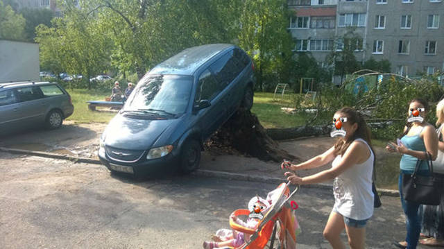 Morning Picdump