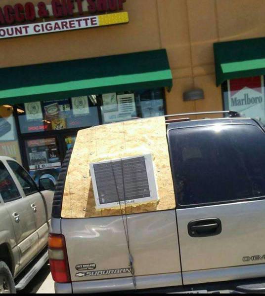 Morning Picdump