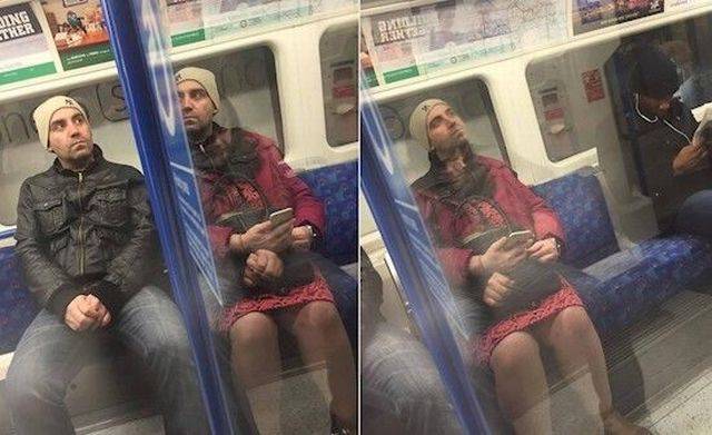 Daily Picdump