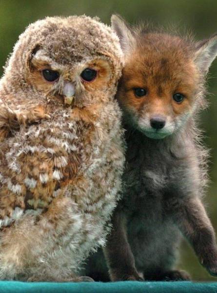 Daily Picdump