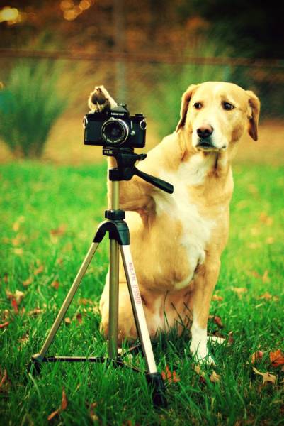 Daily Picdump