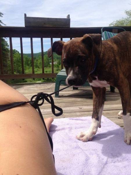 Daily Picdump