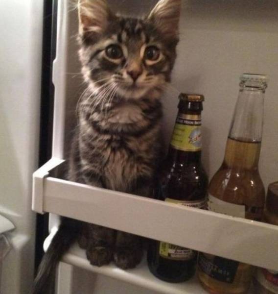 Daily Picdump