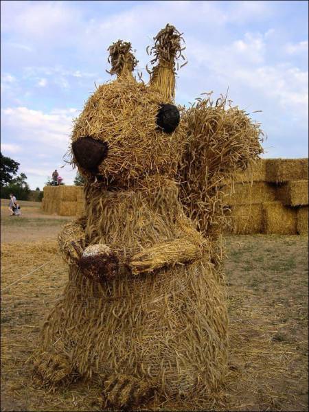 Daily Picdump