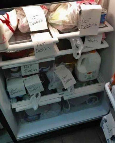 Daily Picdump