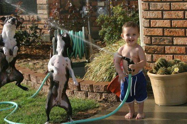 Daily Picdump