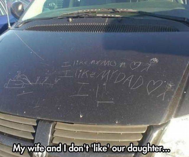 Daily Picdump