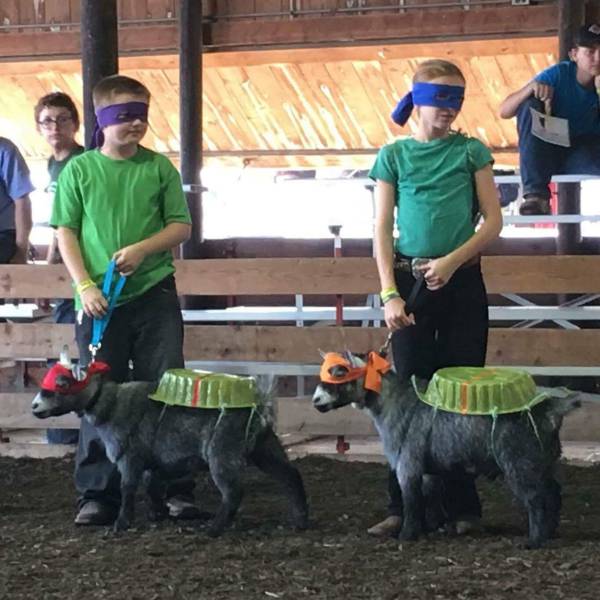 Daily Picdump [WEEKEND EDITION]