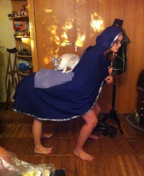 Daily Picdump