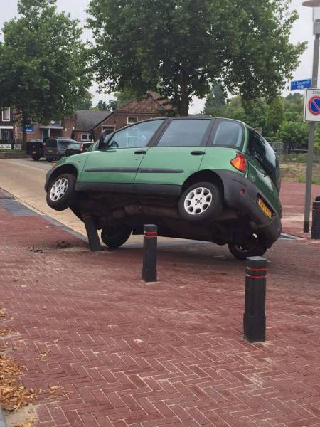 Daily Picdump