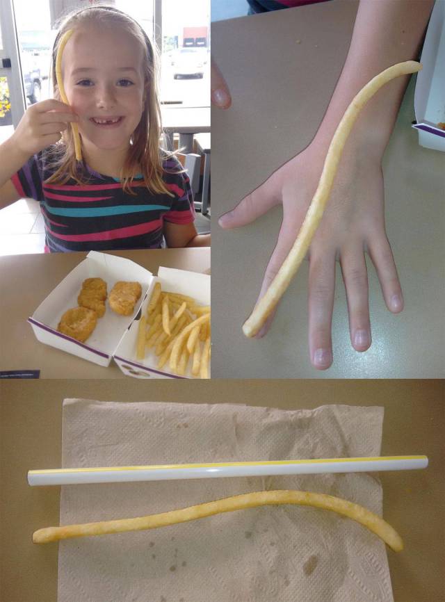 Daily Picdump