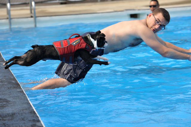 Daily Picdump [WEEKEND EDITION]