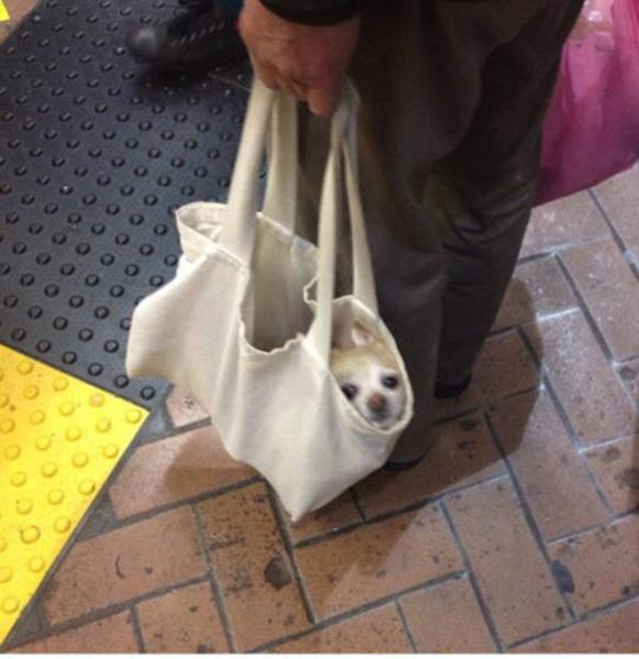 Daily Picdump [WEEKEND EDITION]