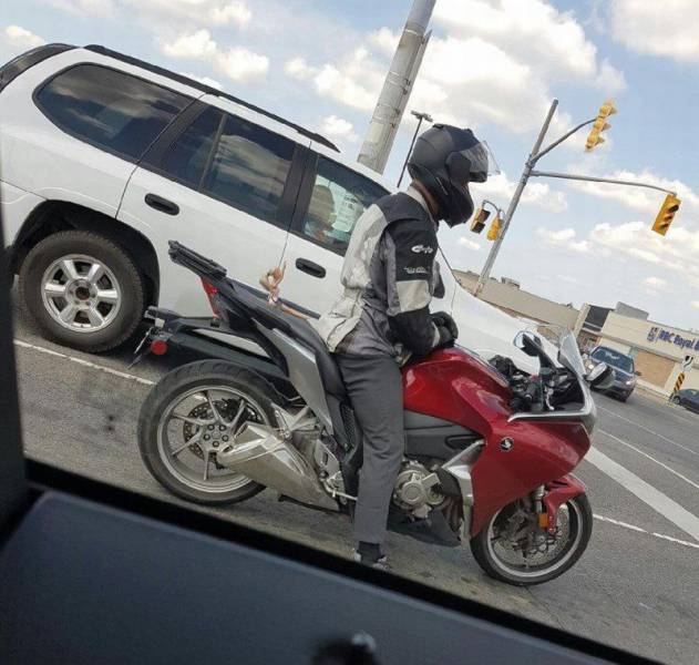 Daily Picdump