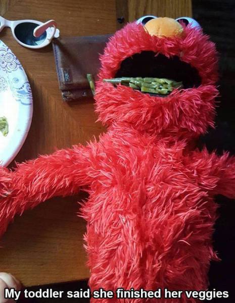 Daily Picdump