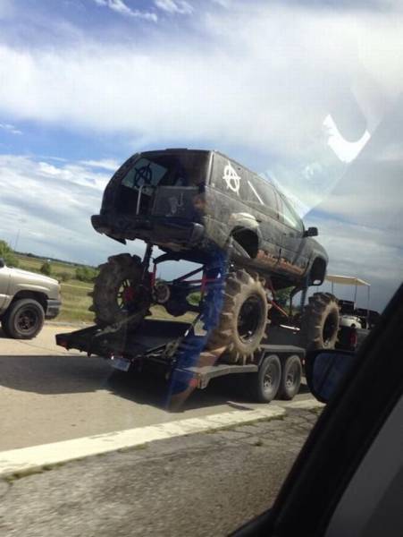 Daily Picdump