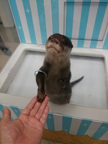Morning Picdump