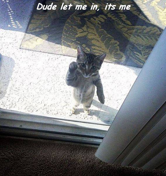 Daily Picdump [WEEKEND EDITION]