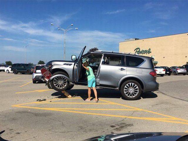 Daily Picdump [WEEKEND EDITION]