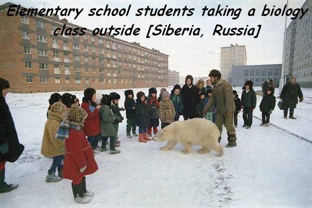 Daily Picdump [WEEKEND EDITION]