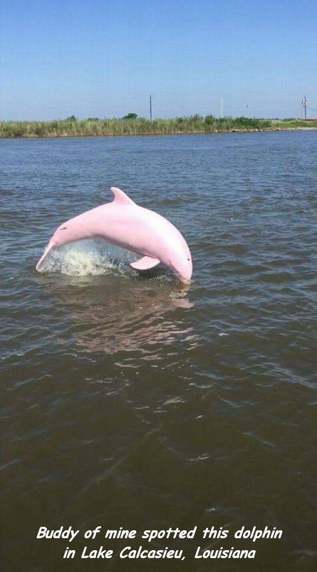 Daily Picdump [WEEKEND EDITION]