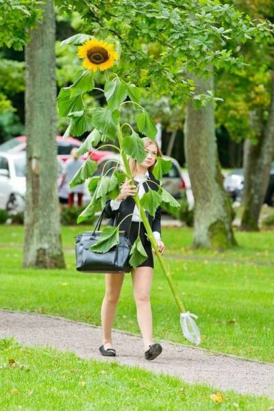 Daily Picdump