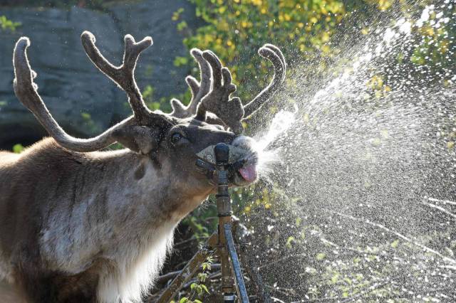 Daily Picdump
