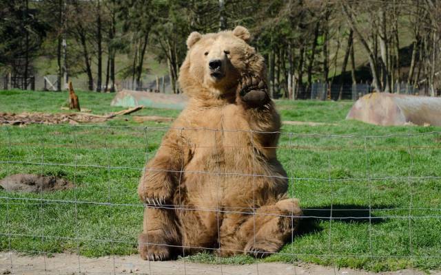 Daily Picdump