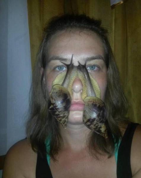 Daily Picdump