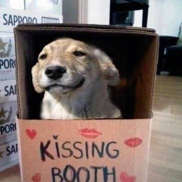 Daily Picdump