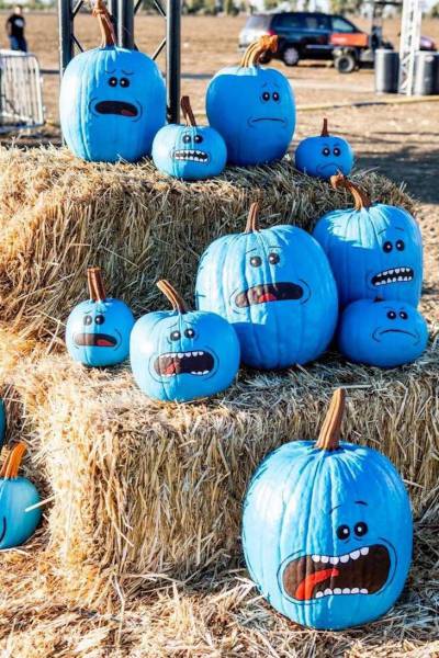 Daily Picdump