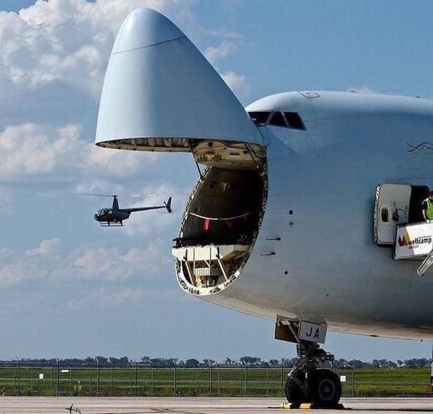 Daily Picdump